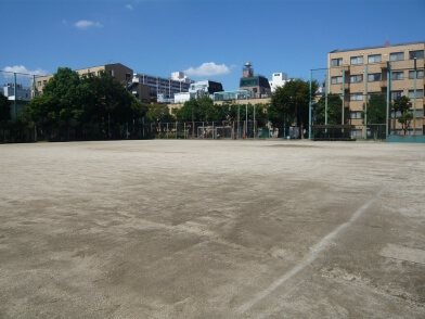 【王選手が育った日本最初の少年野球場】隅田公園少年野球場の石10個セット 隅田公園少年野球場」（日本最初の少年野球場）｜歩いて、探して