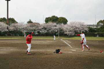 入船公園 野球場 テニスコート 施設案内 グラウンドking 使用できるグラウンドを一発検索